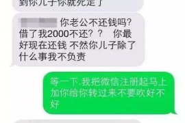 青山湖为什么选择专业追讨公司来处理您的债务纠纷？